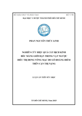 Nghiên cứu hiệu quả cắt dịch kính bóc màng giới hạn trong vạt ngược điều trị bong võng mạc do lỗ hoàng điểm trên cận thị nặng