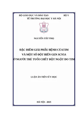 3 toàn văn luận án sửa sau phản biện đl