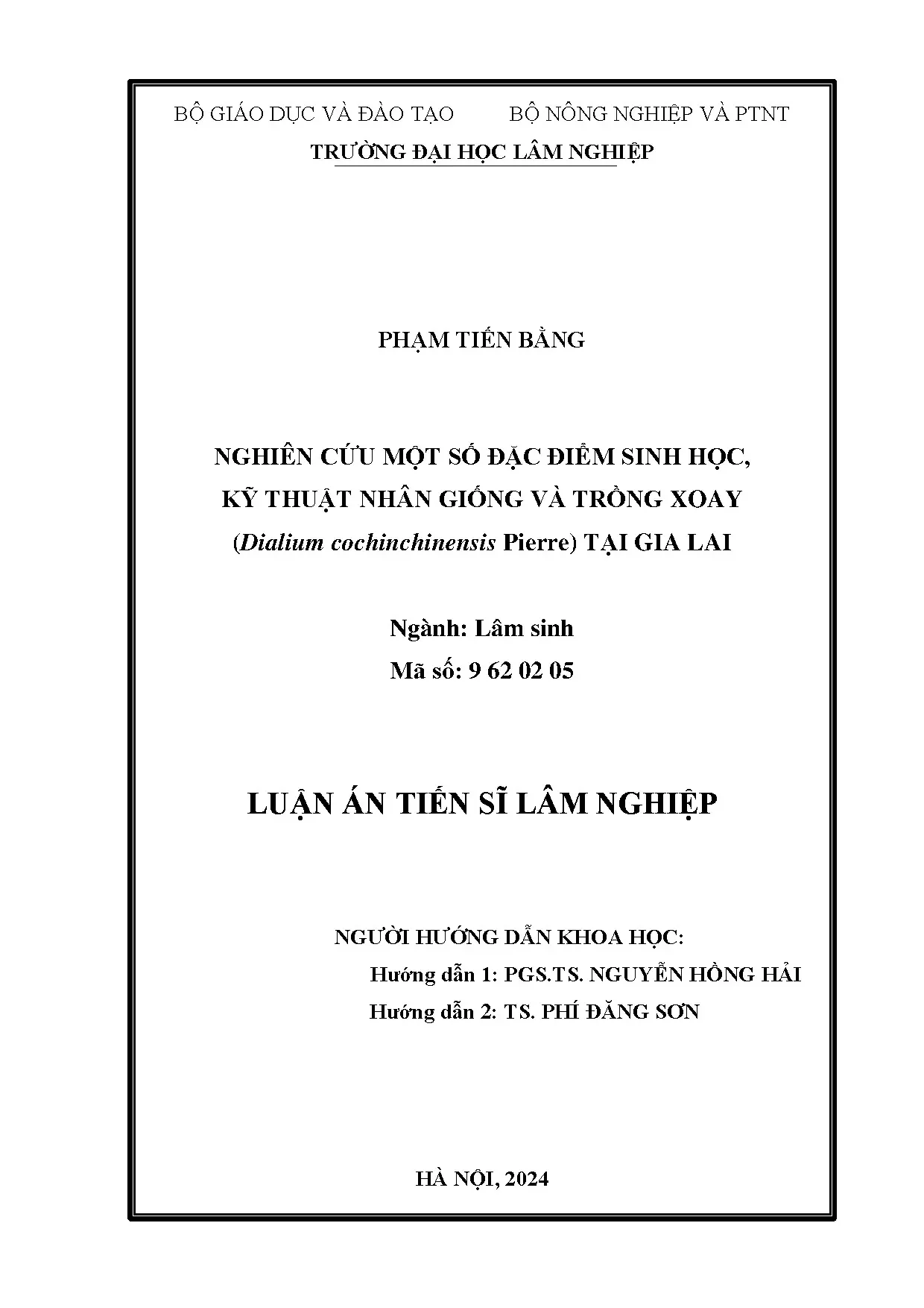 Nghiên cứu sinh học và kỹ thuật trồng cây Xoay tại Gia Lai