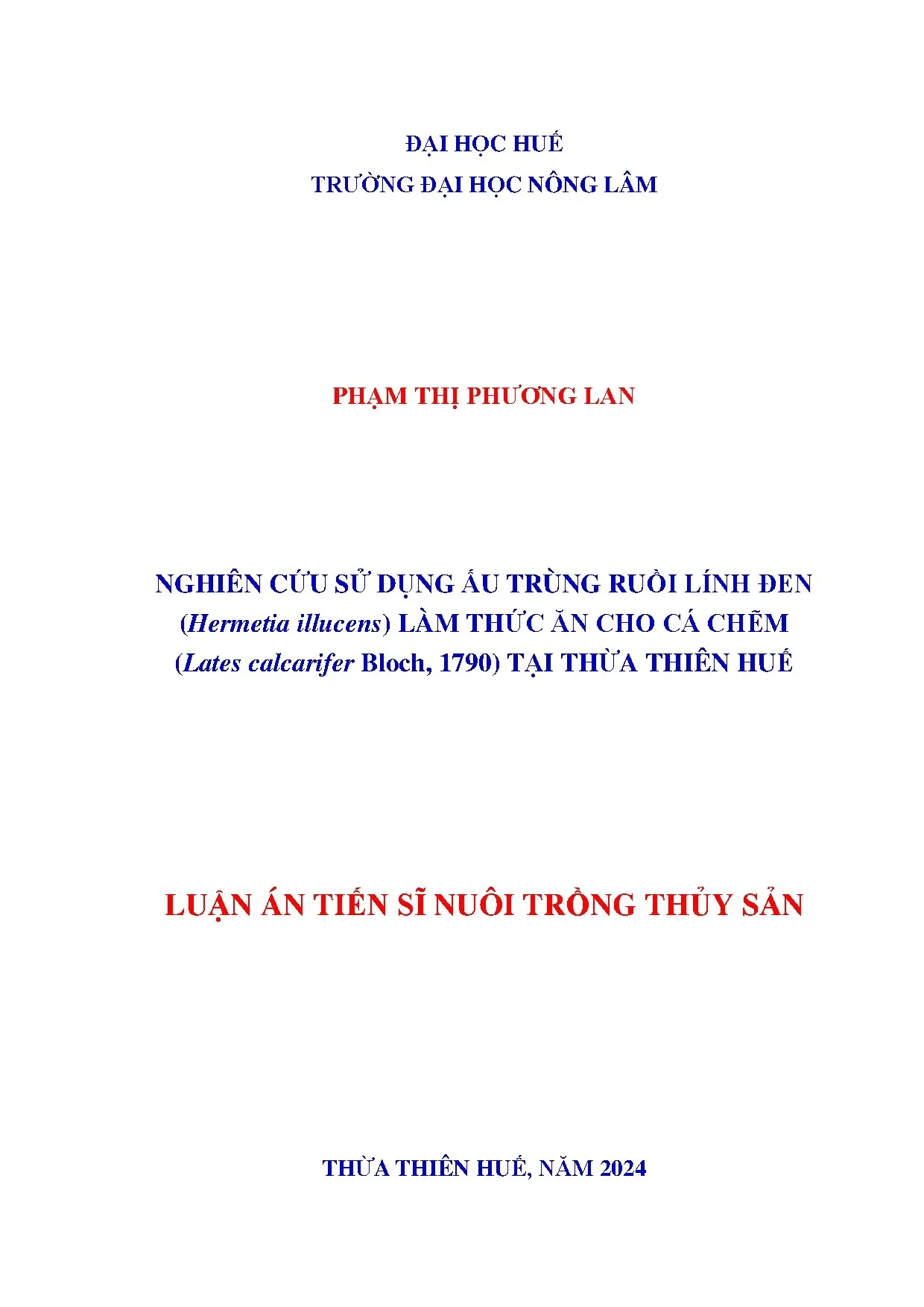 Ấu trùng ruồi lính đen làm thức ăn cá chẽm Thừa Thiên Huế