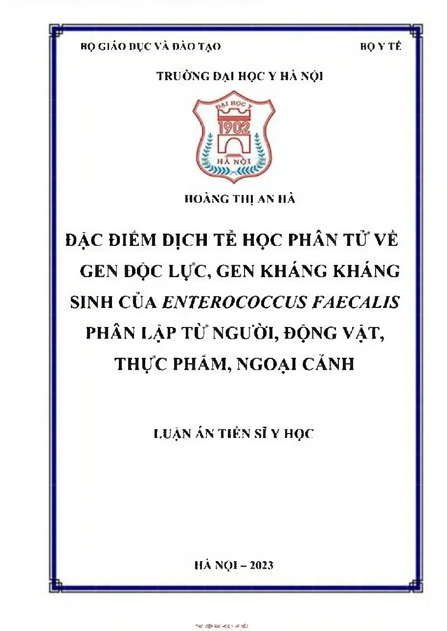 Dịch tễ học phân tử E. faecalis: Gen độc lực & kháng sinh