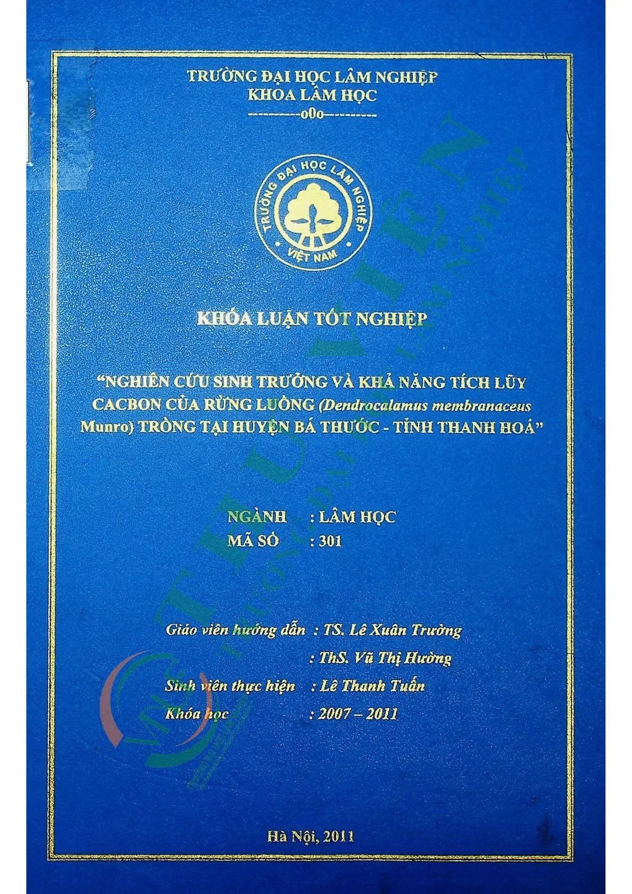 Nghiên cứu sinh trưởng và khả năng tích luỹ cacbon của rừng