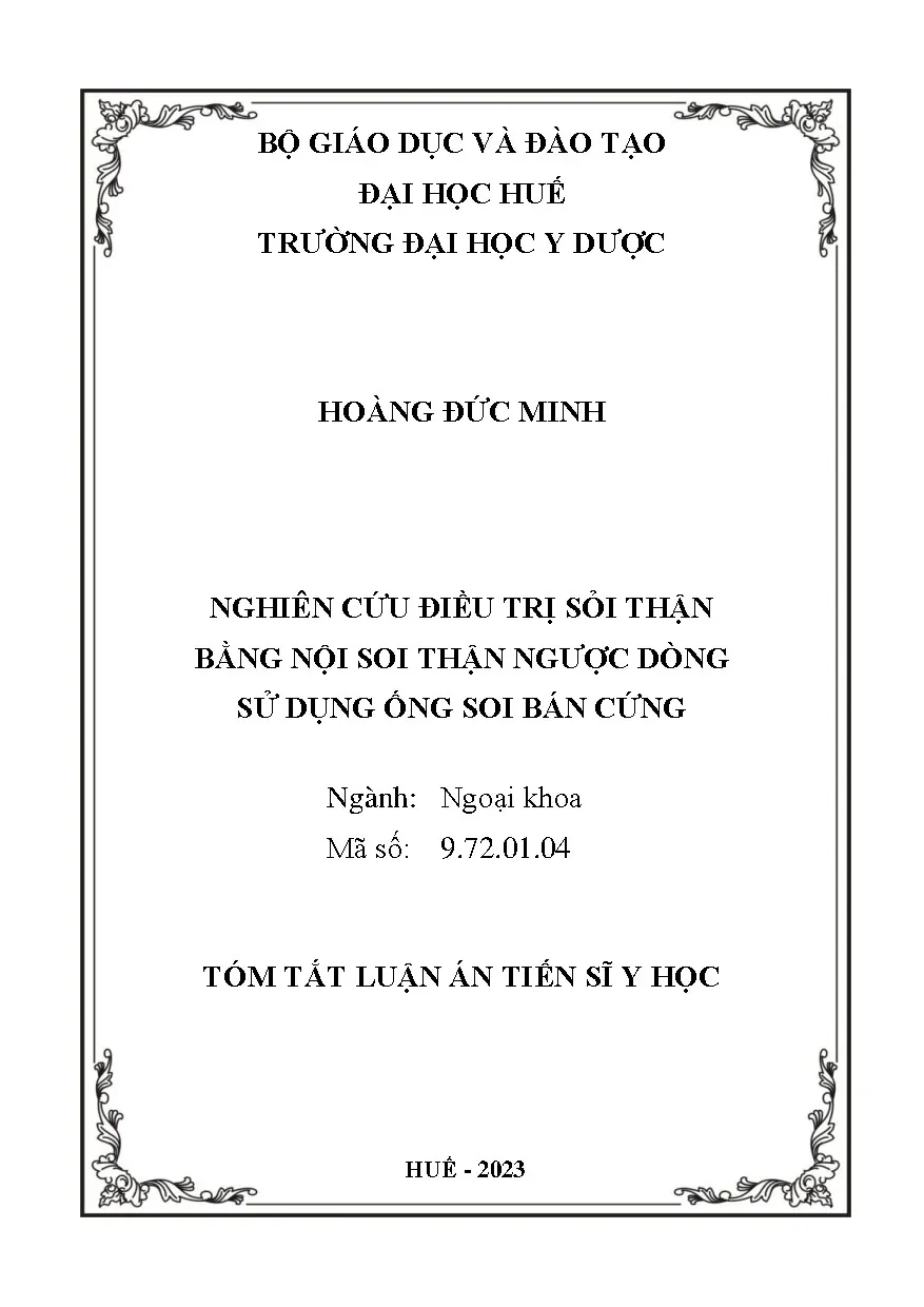 Điều trị sỏi thận bằng nội soi thận ngược dòng ống soi bán cứng