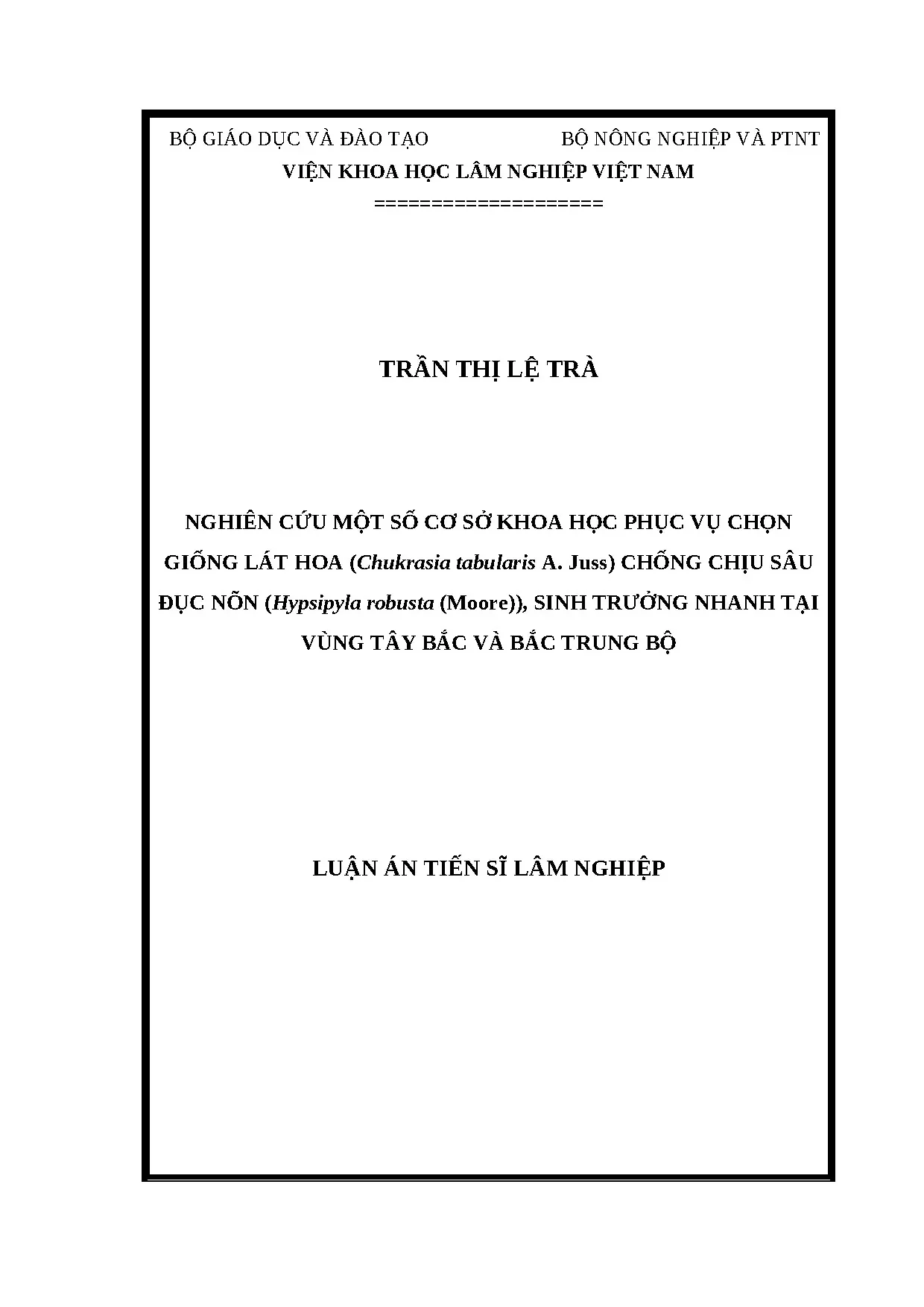 Chọn giống lát hoa chống sâu đục nõn, sinh trưởng nhanh