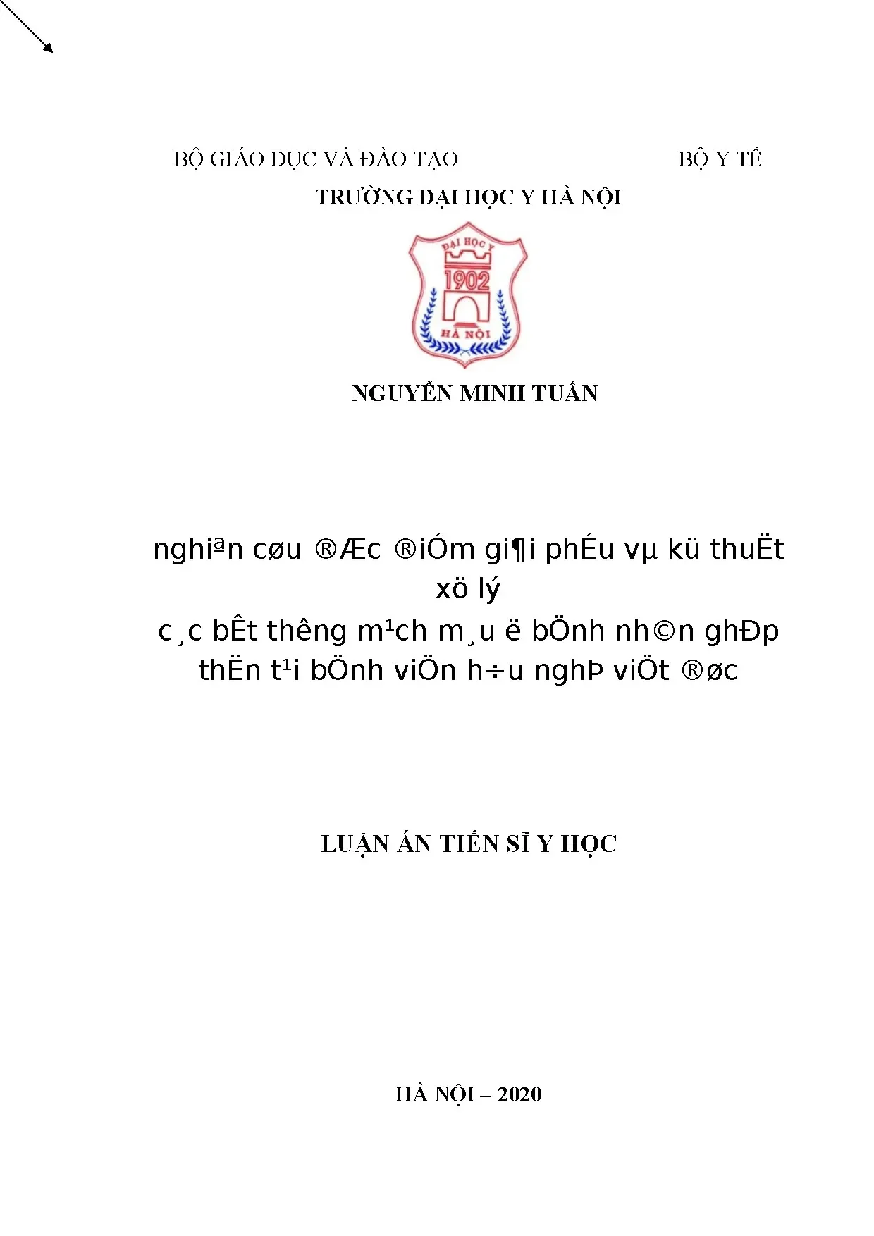 Luận án tiến sĩ đặc điểm giải phẫu bất thường mạch máu ghép thận