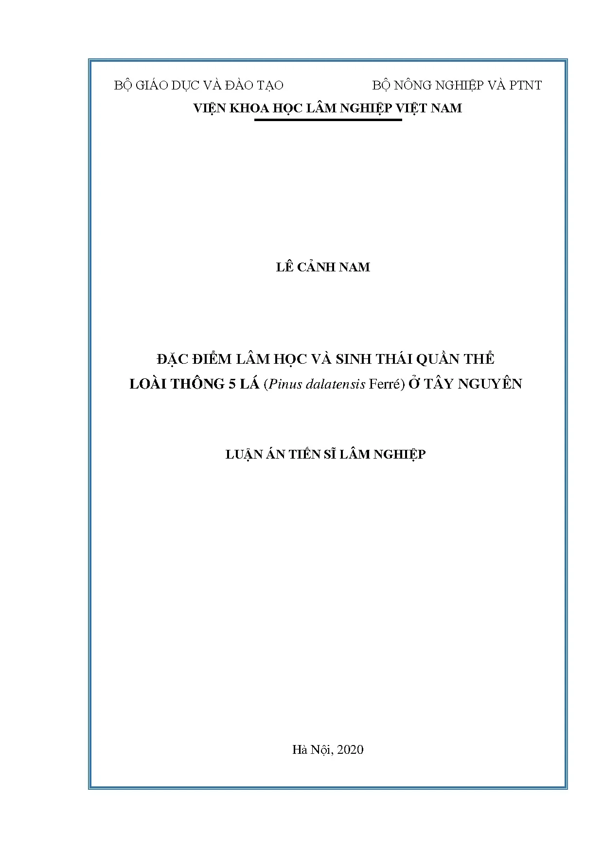 Thông 5 lá ở Tây Nguyên: Đặc điểm lâm học & sinh thái