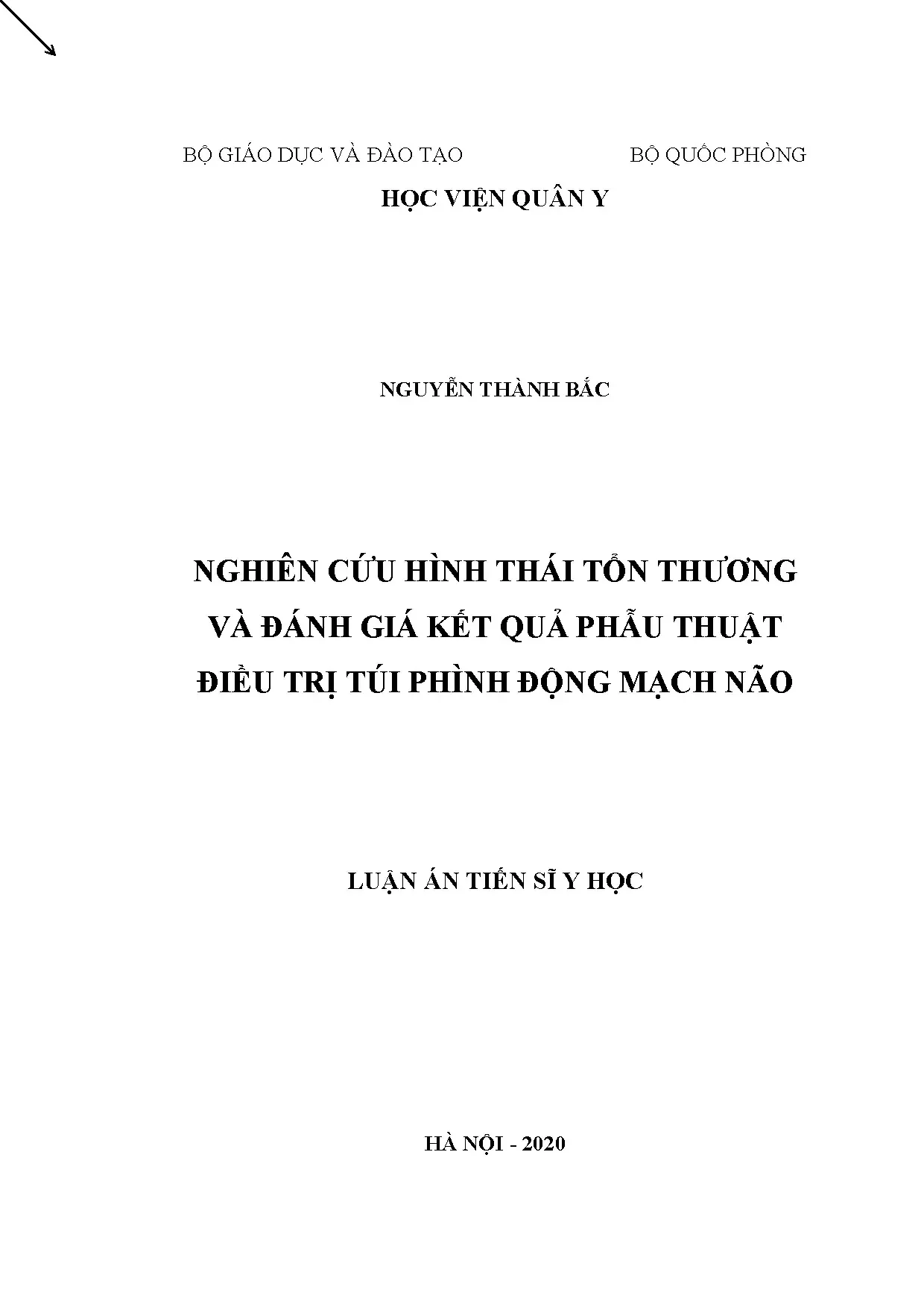 Luận án nghiên cứu hình thái tổn thương túi phình động mạch não