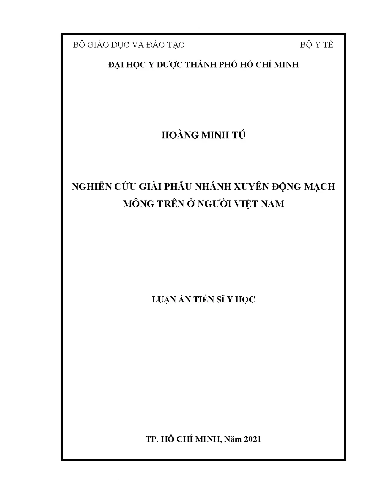 Nghiên cứu giải phẫu nhánh xuyên động mạch mông trên ở người Việt Nam