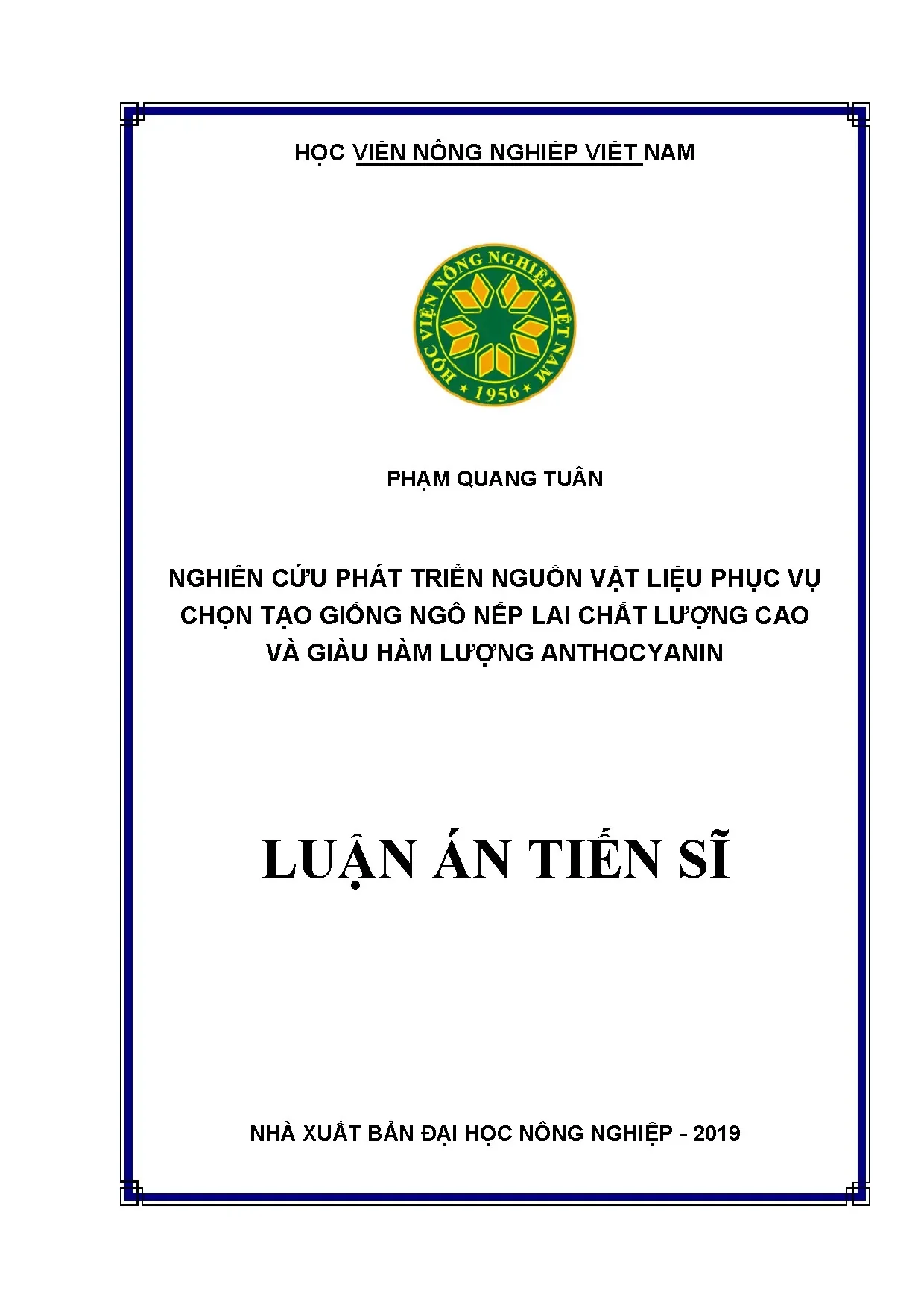 Giống ngô nếp lai chất lượng cao, giàu anthocyanin