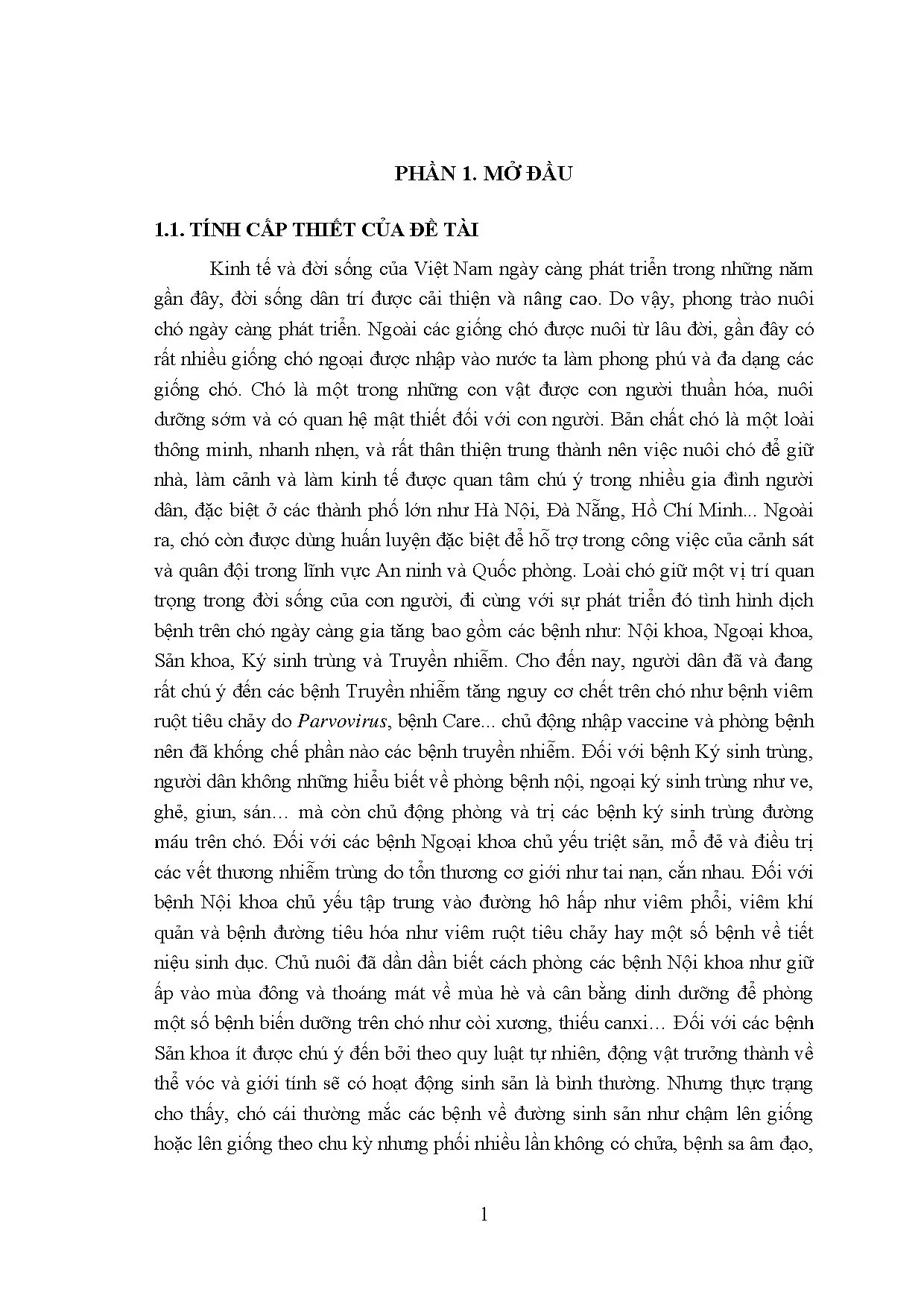 Siêu âm chẩn đoán điều trị viêm tử cung trên chó