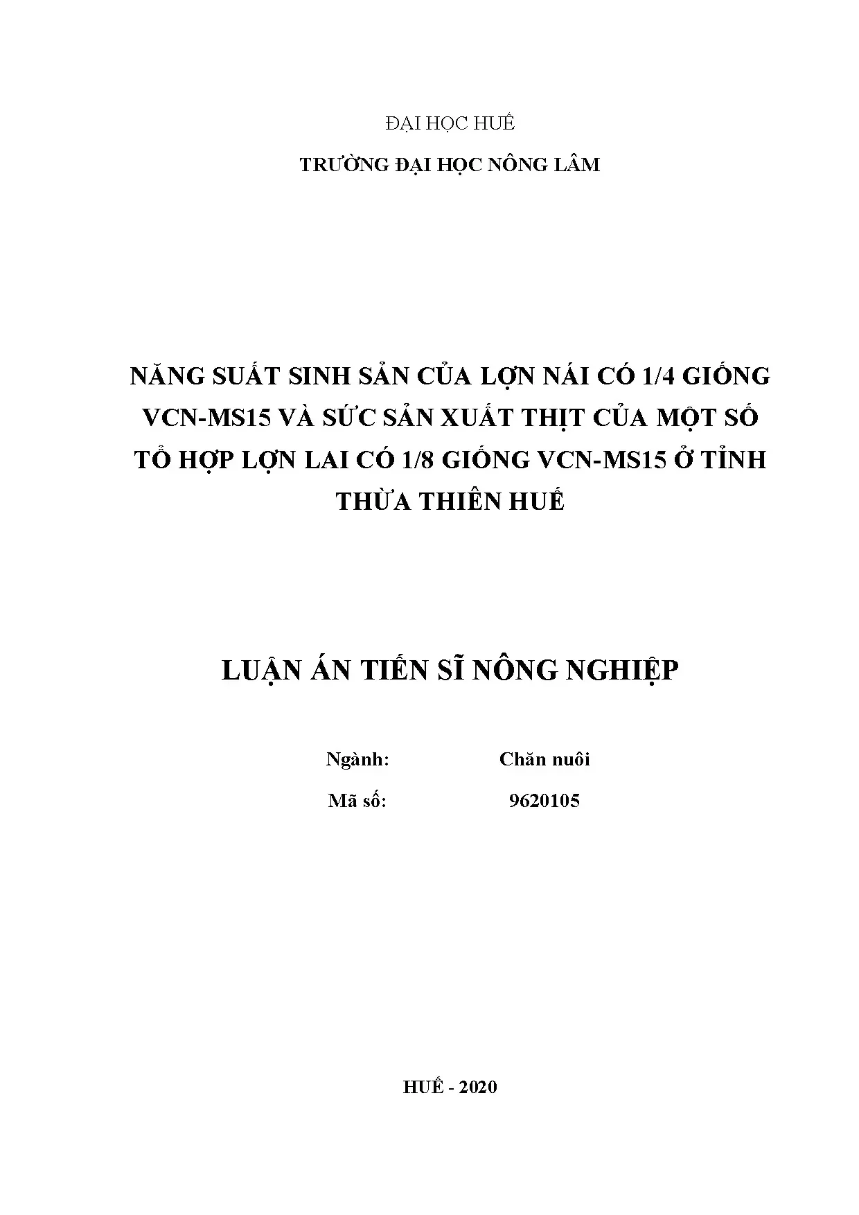 Năng suất lợn nái VCN-MS15 & thịt lợn lai Thừa Thiên Huế