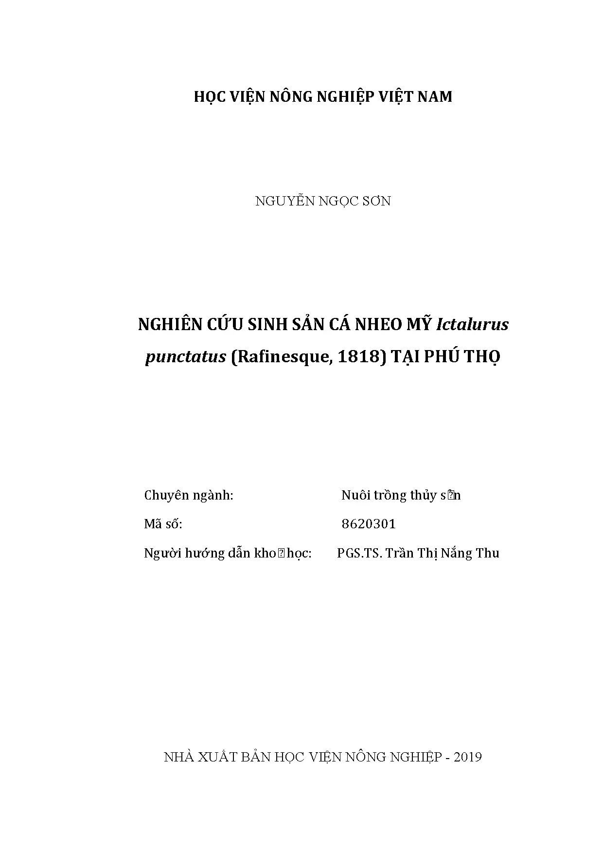 Nghiên cứu sinh sản cá nheo Mỹ tại Phú Thọ
