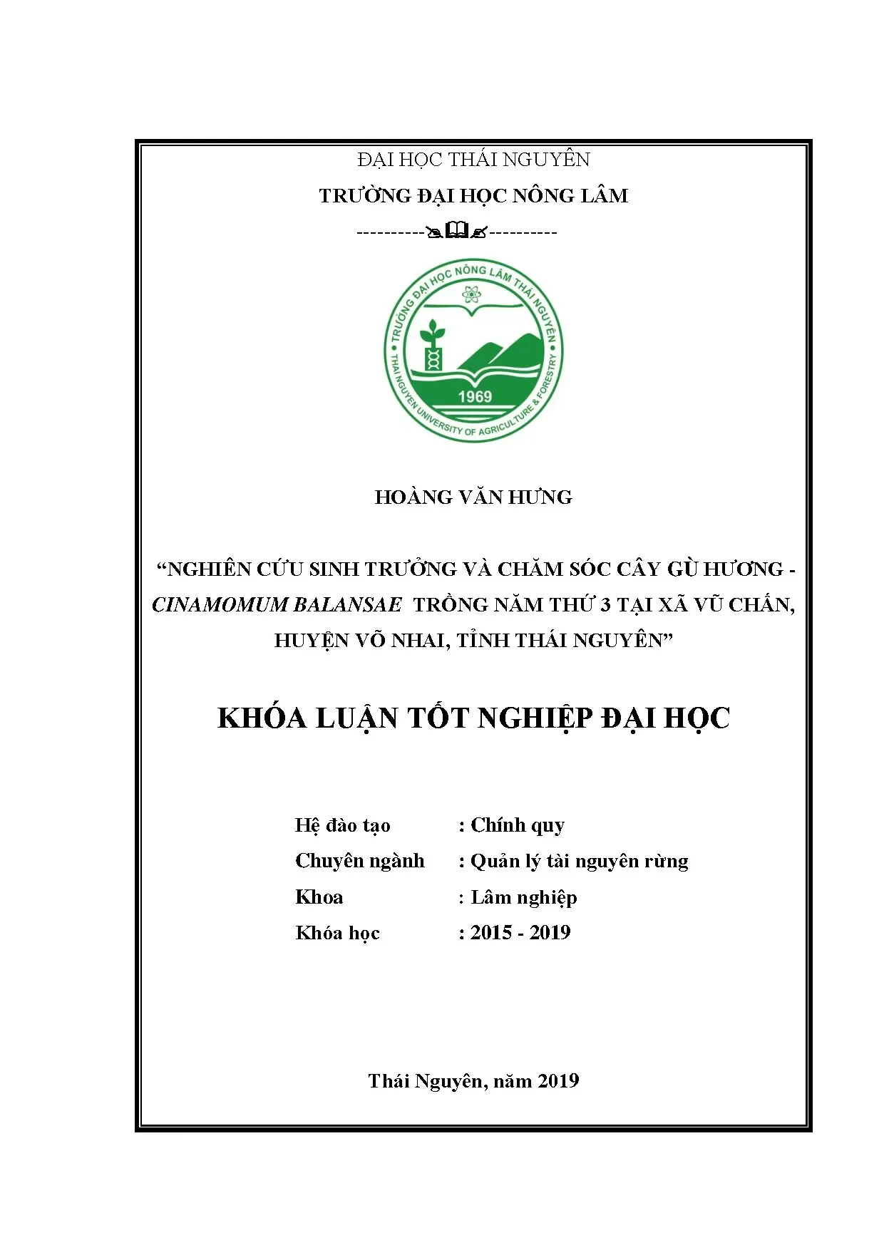 Sinh trưởng và chăm sóc cây gù hương 3 năm tại Võ Nhai