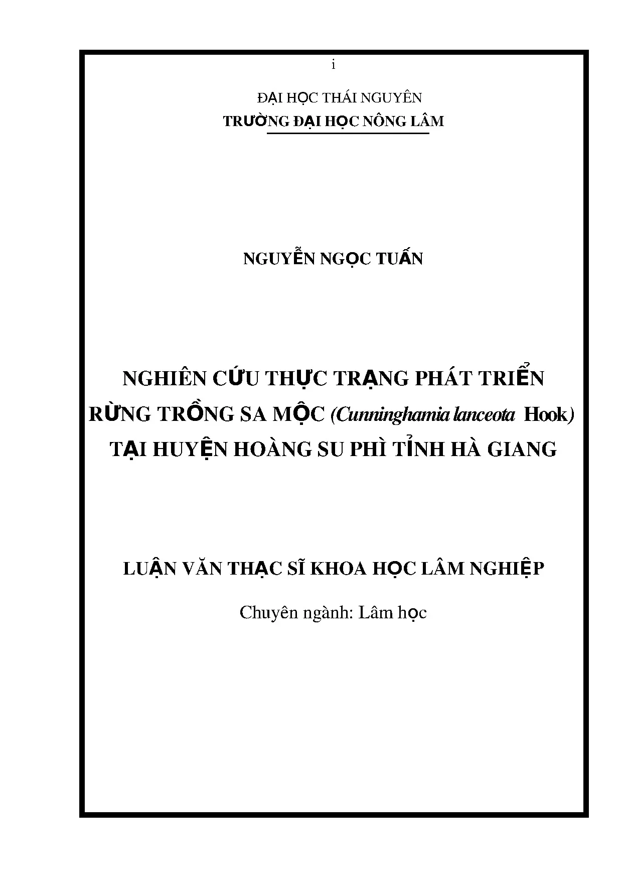 Thực trạng rừng Sa mộc Hoàng Su Phì, Hà Giang