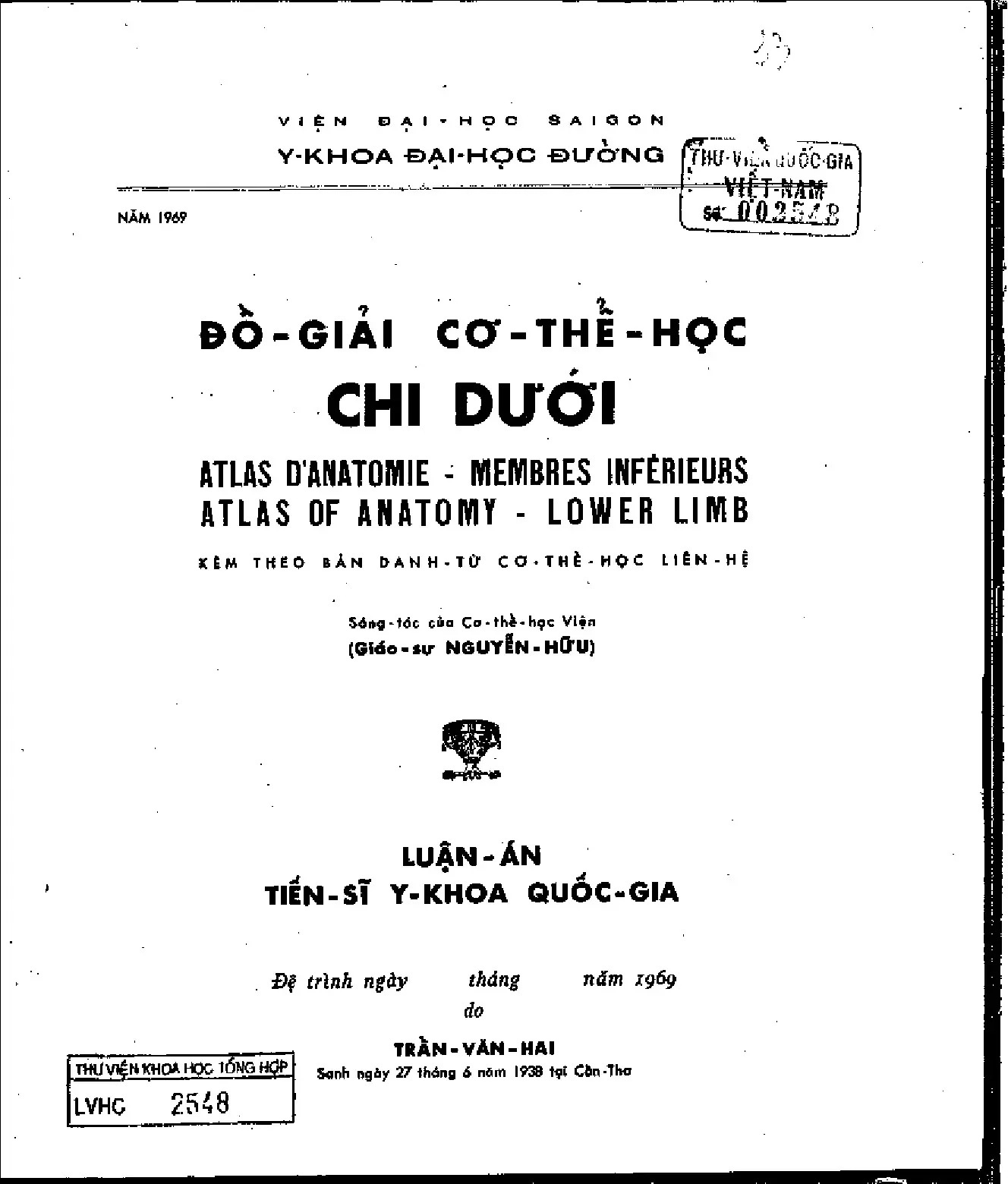 Đồ giải cơ thể học chi dưới luận án