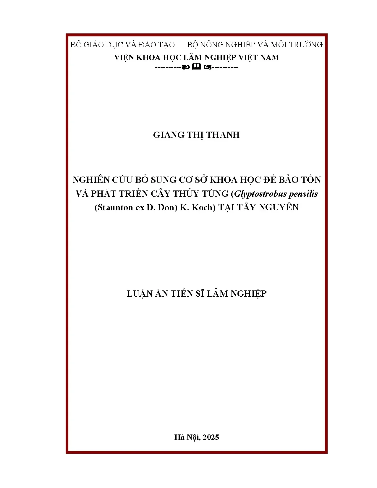Bảo tồn và phát triển cây Thủy tùng tại Tây Nguyên
